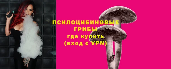 mdpv Заволжье