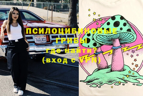 соль курить ск Инсар