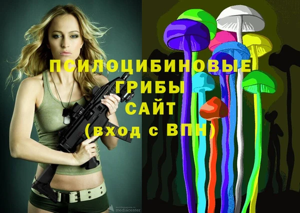 соль курить ск Инсар
